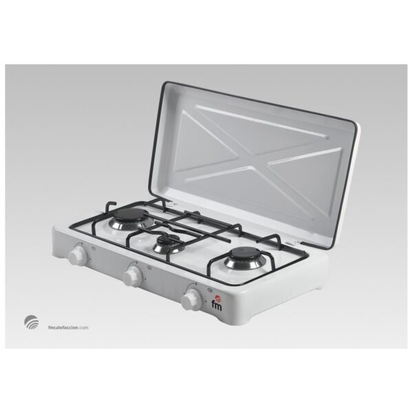 FM HORNILLO HG300 3Fgos GAS